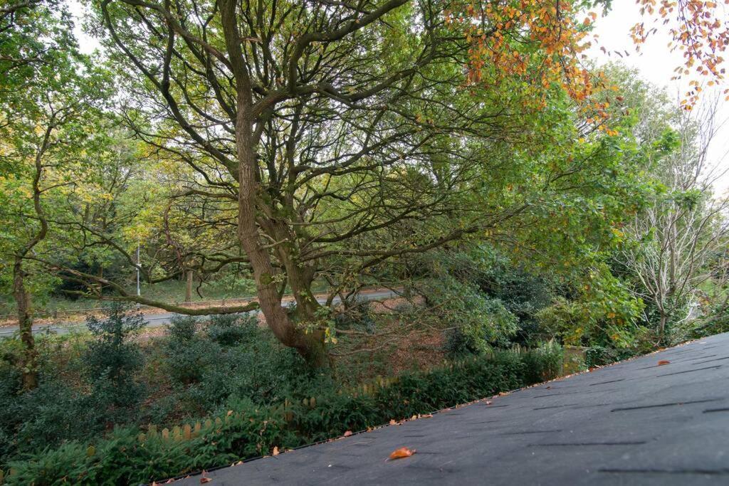 Luxury Coach House Next To Woodland In Knutsford Villa Eksteriør bilde